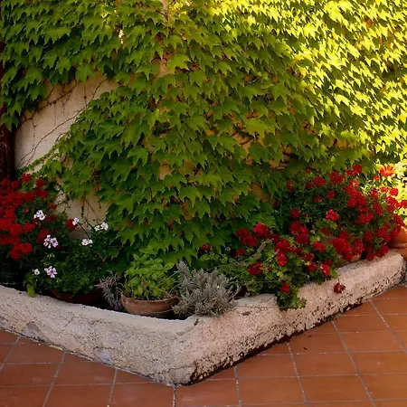 Casa Del Falso Pepe - Scala Dei Turchi Bed & Breakfast 2*