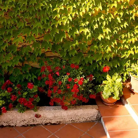 Bed & Breakfast Casa Del Falso Pepe - Scala Dei Turchi