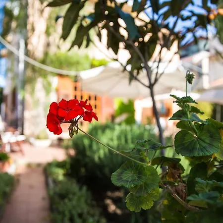 Bed & Breakfast Casa Del Falso Pepe - Scala Dei Turchi 2*
